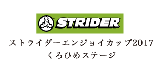 STRIDER公認パークの”ストライダーエンジョイパーク”
